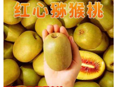 【爆甜】四川蒲江县红心猕猴桃水果奇异果猕猴桃新鲜现摘批发整箱图2