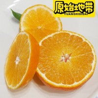 现采现发原始地带品牌爱媛38果冻橙 可以吸管吸的果冻橙 一件代发