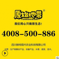 现摘现发 原始地带品牌百香果 四川百香果味更浓 汁更甜 一件代发