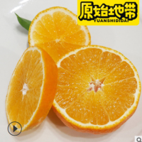 现采现发原始地带品牌爱媛38果冻橙 可以吸管吸的果冻橙 一件代发