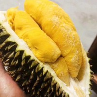 日期新鲜冷冻榴莲果肉 香甜软糯 1-5斤透明包装冷冻榴莲果肉