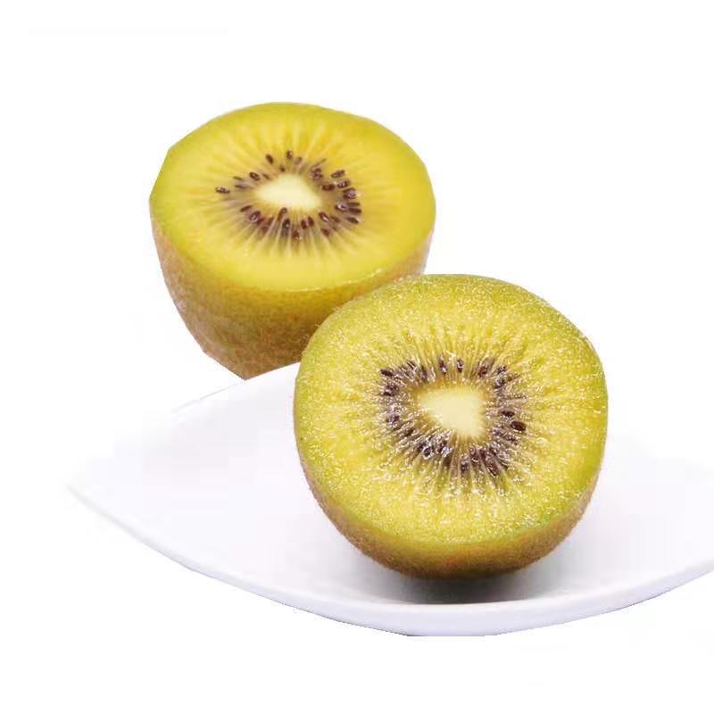 e3e5d25da901ffbf63d592a50a2109