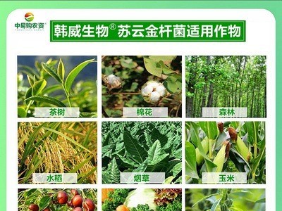 韩威生物 16000iu苏云金杆菌菜青虫小菜蛾吊丝虫生物农药杀虫剂图4