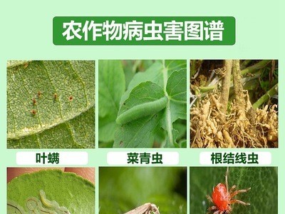 批发5%阿维菌素甘蓝小菜蛾农用杀虫剂农药1000毫升/瓶量大从优图3