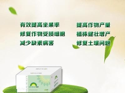 【厂家直销】索润大量元素平衡型水溶性肥料有效提高作物产量图2
