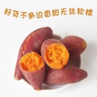 山东红心红薯沙地蜜薯番薯红薯红苕地瓜山芋香甜无丝糯