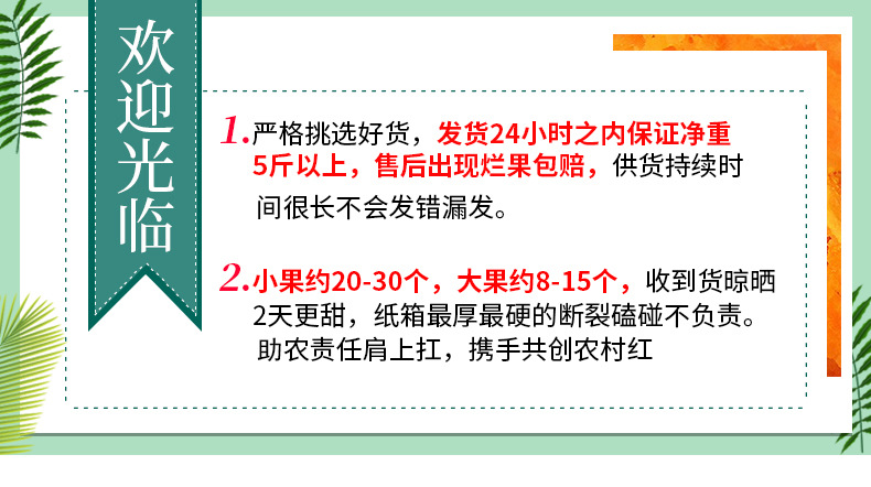 第二章