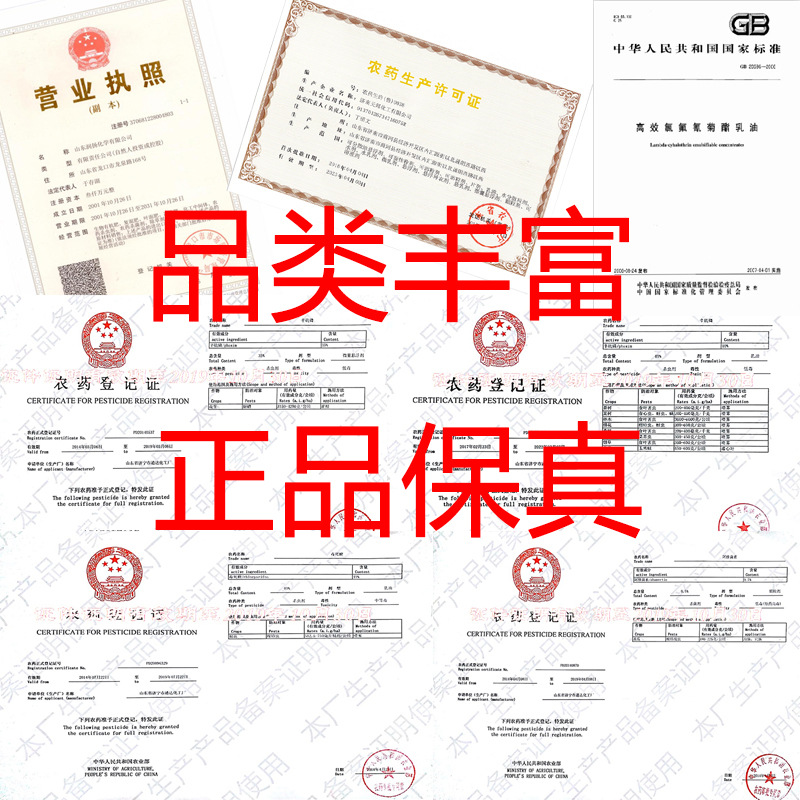 证件全
