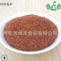 大量批发供应 冻干草莓籽 食品级草莓种子 非种植 500g起批