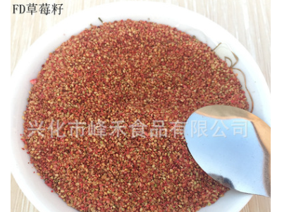 大量批发供应 冻干草莓籽 食品级草莓种子 非种植 500g起批图3