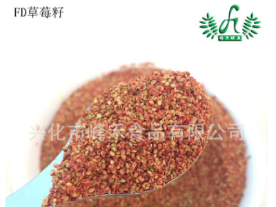 大量批发供应 冻干草莓籽 食品级草莓种子 非种植 500g起批图5
