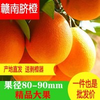 新鲜脐橙现摘赣南脐橙皮薄汁甜一件也是批发价10斤20斤代发