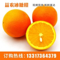 冰糖橙市场价格批发 基地直供新鲜水果冰糖橙市场价格 冰糖橙现货