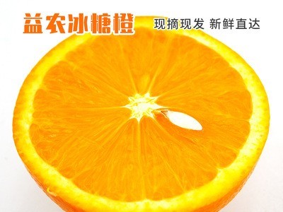 冰糖橙市场价格批发 基地直供新鲜水果冰糖橙市场价格 冰糖橙现货图3