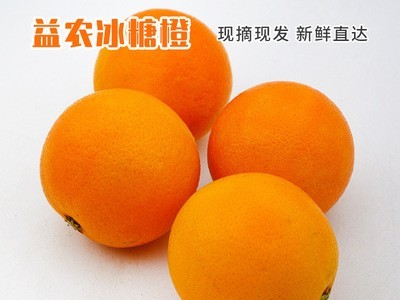 冰糖橙市场价格批发 基地直供新鲜水果冰糖橙市场价格 冰糖橙现货图5