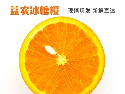 冰糖橙市场价格批发 基地直供新鲜水果冰糖橙市场价格 冰糖橙现货图4