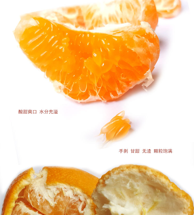 春见_01