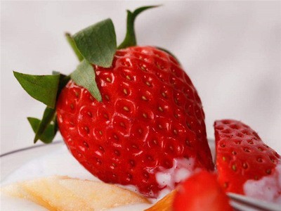 下成都没有海有机红颜牛奶奶油草莓新鲜水果现摘现发36枚装顺丰空图3