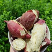 现挖小番薯新鲜地瓜紫芋头红皮番薯农家自种带箱10斤包邮批发