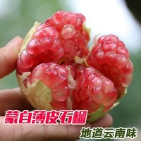 云南蒙自石榴薄皮石榴甜石榴3/5/10/12礼盒中秋送礼送剥皮器顺丰