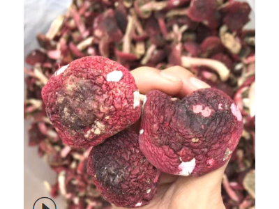 山礼然批发云南大红菇干货 食用菌 红菇丁 紫菇 云南干制红菇现货图2