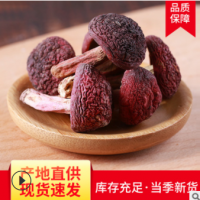 山礼然批发云南大红菇干货 食用菌 红菇丁 紫菇 云南干制红菇现货