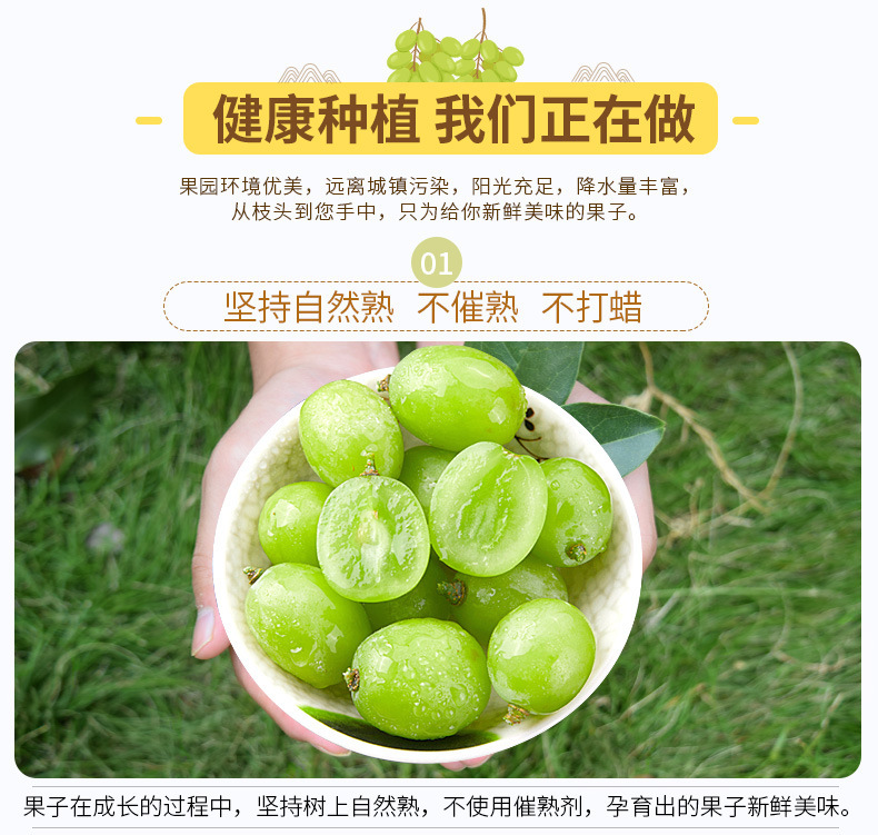 详4