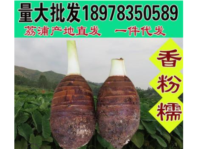 1件代发荔浦芋头5斤新鲜槟榔香芋广西农产品特产蔬菜批发代发图2