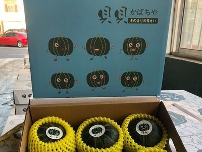 贝贝南瓜日本惠和一号礼盒装板栗味礼盒/4-4.5斤/批发一件代发图5