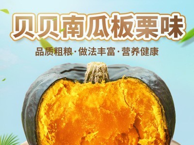 山东正宗板栗味贝贝南瓜进口种源粉糯香甜真贝贝宝宝辅食一件代发图2