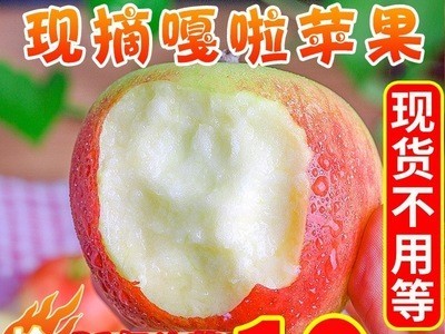 陕西嘎啦苹果水果10斤新鲜整箱当季红富士平果冰糖心丑苹果包邮图3