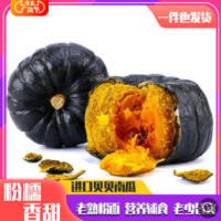 山东真贝贝南瓜 板栗南瓜新鲜蔬菜迷你小南瓜金丝贝贝瓜辅食代发