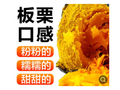山东真贝贝南瓜 板栗南瓜新鲜蔬菜迷你小南瓜金丝贝贝瓜辅食代发图2