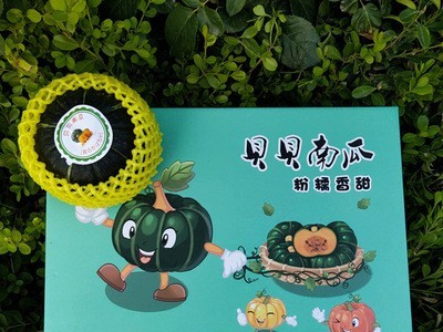 贝贝南瓜礼盒 惠和一号 一件代发量大批发 迷你板栗味 贝贝南瓜图2