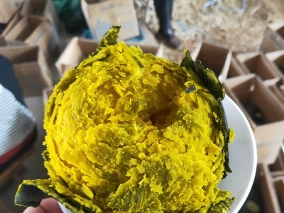 山东贝贝南瓜产地批发 迷你小南瓜板栗南瓜惠合1号批发一件代发图2