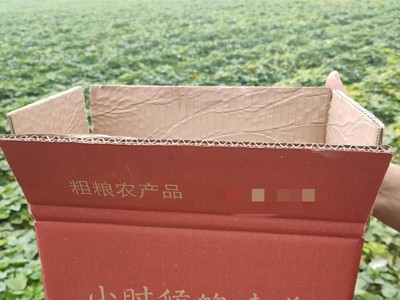 陕西临潼板栗薯5斤9斤大果粉糯香甜板栗味浓郁 板栗红薯 一件代发图5