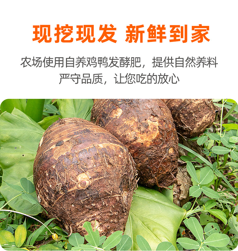 详情图片_6.jpg