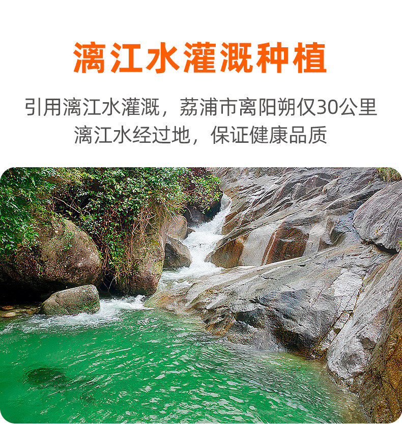 详情图片_5.jpg