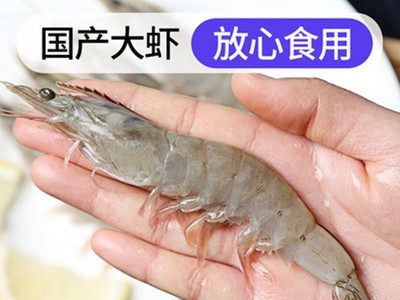 即冻青岛大虾海鲜水产基围虾新鲜国产速冻海虾青虾白虾冻虾鲜虾图3