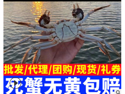 大闸蟹鲜活螃蟹现捕非阳澄湖大闸蟹河蟹批发大闸蟹礼券提货礼卡图2