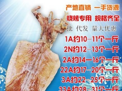 广西北海海鲜水产海捕烧烤手撕大干鱿鱼干货小大尤鱼2a散装批发图3