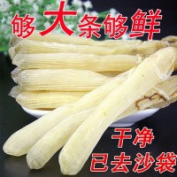 北海特产海产品沙虫干货大条自晒自销味道鲜美滋补品半斤一包起批