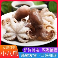 海鲜八爪鱼海鲜小章鱼海鲜小八爪鱼章鱼爆头火锅食材200克