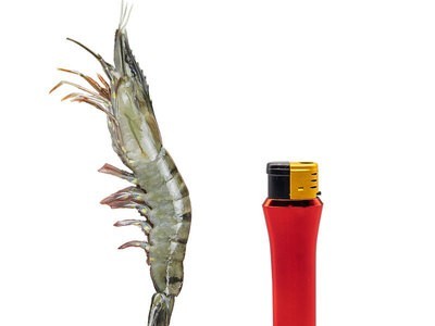 越南花虾大对虾生冻黑虎虾冷冻九节虾 活冻竹节虾一盒净重1KG盒图2