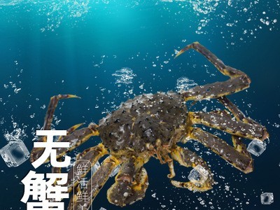 冻帝王蟹海鲜水产新鲜冷冻超特大龙虾面包珍宝皇帝螃蟹4.5~5斤/只图2