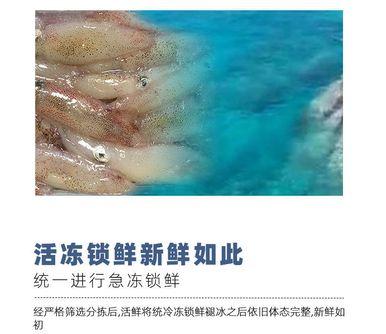 未标题-1_05.jpg