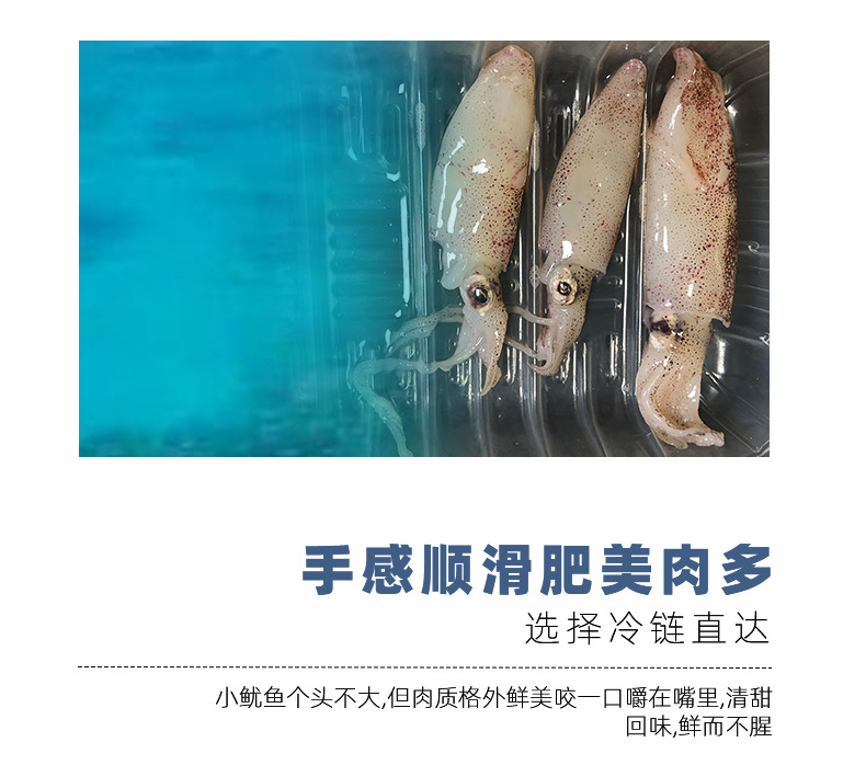 未标题-1_06.jpg