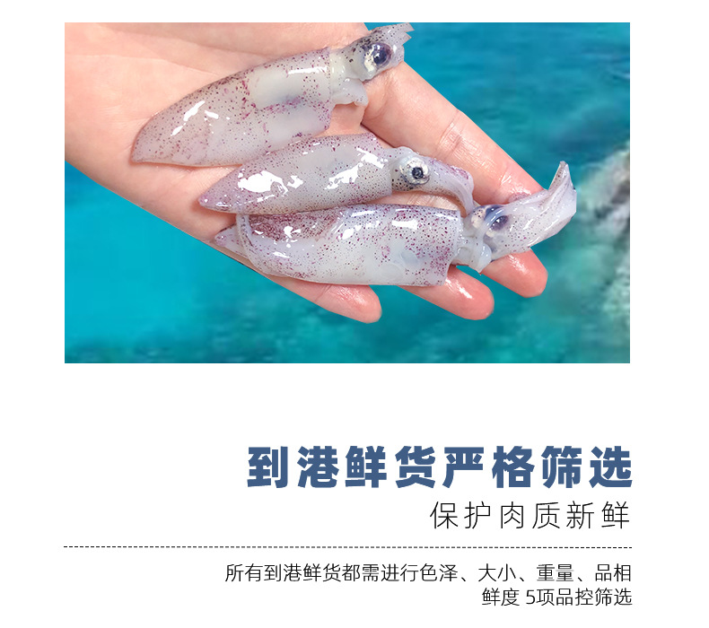 未标题-1_04.jpg