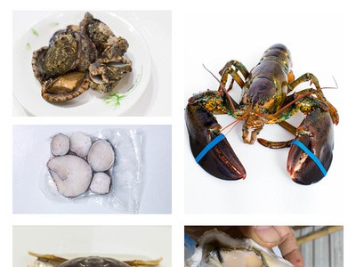 鲜活海鲜礼盒 活体波士顿龙虾 珍宝蟹鲍鱼银鳕鱼春节送礼海鲜礼盒图2