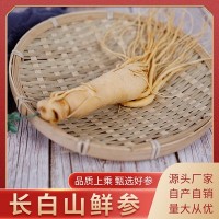 鲜参 厂家批发保鲜参东北特产煲汤泡酒鲜人参滋补人参诚招代理